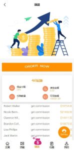 🖼 海外抢单电商订单系统/手动派单/分组模式/余额宝/总代理/代理