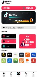 🖼 2025多语言tiktok抢单_海外tiktok电商订单_分组_打针_前端vue