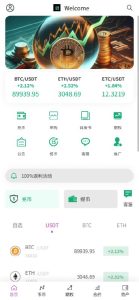 ↩️🖼 2025.12.22 白绿色交易所二开更新记录：1.增加币币手动成交按钮，卖出和买入都可以手动控制，方便低入高卖的操作手段。更好的运营盘口。 #二开 #交易所…