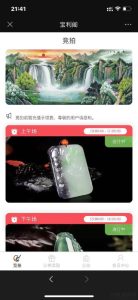 🖼 古玩文物字画寄售系统源码-拍卖系统源码-竞拍系统源码转拍系统