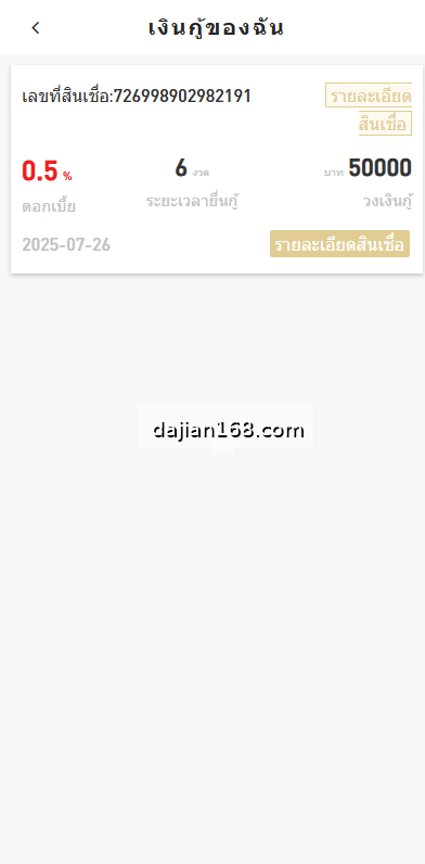 海外贷款系统截图4