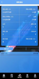 tk电商订单系统后台 多语言 tiktok抢单 电商订单 叠加组 打针