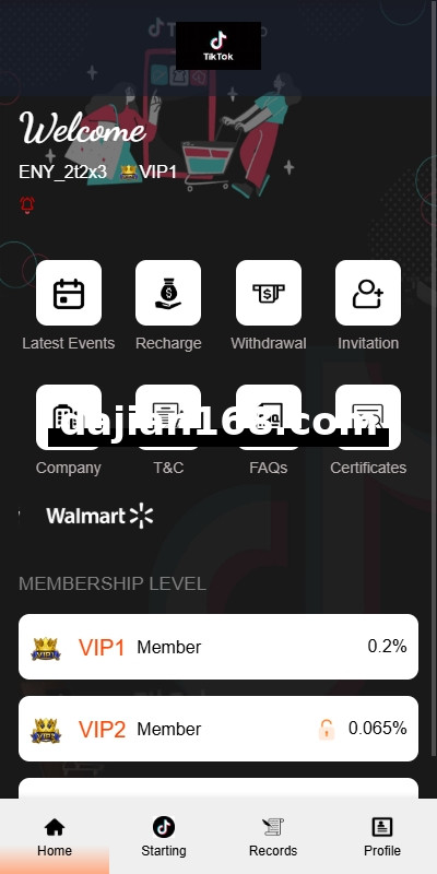 海外TIKTOK抢单刷单系统/连单卡单/前端VUE