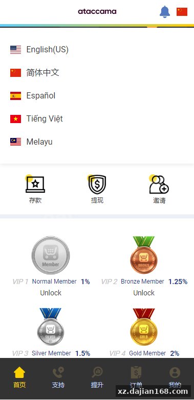 新UI多语言抢单刷单系统/卡单连单/订单自动匹配系统-系统演示站