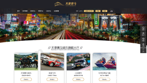 随机数概率模拟系统搭建实录：VR风格前端部署与二开踩坑笔记