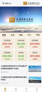 🖼 2026 新微盘系统 4 国语言多语言新UI微交易系统,外汇，期货贵金属，时间盘,